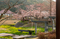 古九谷の杜親水公園１