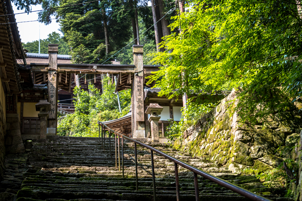 新緑の山門（長命寺より）