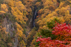 秋の八滝