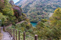 遊歩道の階段より１（2015秋の九頭竜湖より）