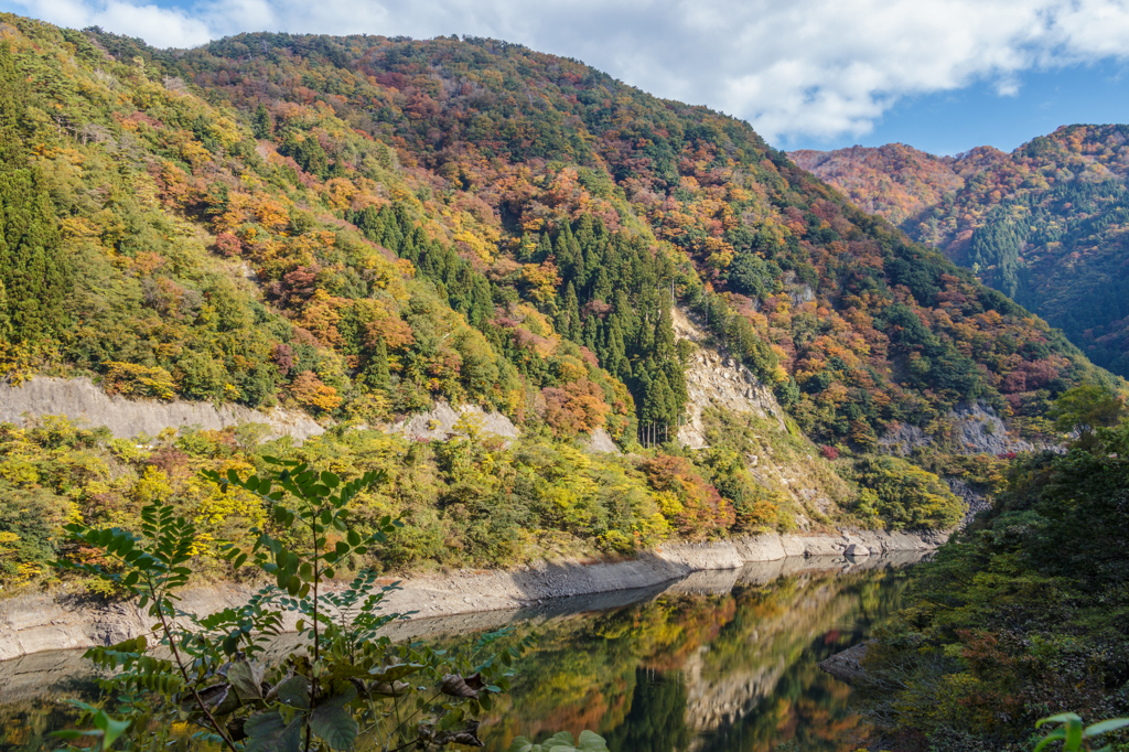 崖崩れも紅葉する