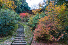 護摩堂に至る石段（那谷寺より）