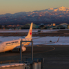 JAPAN AIRLINES