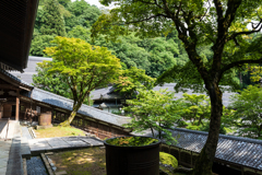 梅雨明けの予感