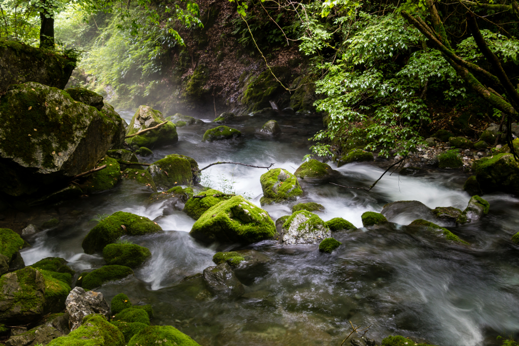 霧立つ川面２（河内の風穴より）