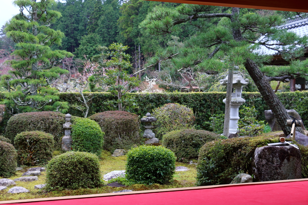 大池寺庫裏の庭園（ぶらり滋賀県甲賀市より）