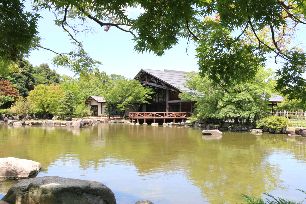 福井県総合グリーンセンターを散策してみた～ウッドハウス九頭竜とミニボート池～