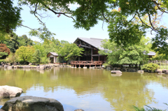 福井県総合グリーンセンターを散策してみた～ウッドハウス九頭竜とミニボート池～