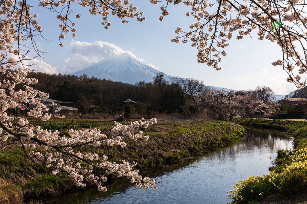 春の小川