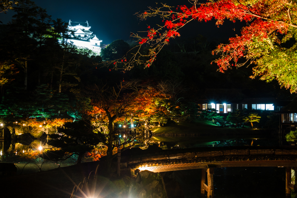 錦秋の彦根城借景２(玄宮園より）