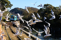 天浜線とゆりかもめ