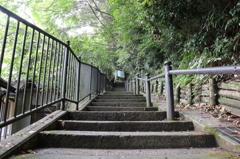 御坊跡に続く階段（吉崎御坊跡より）