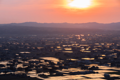 砺波平野の散居村