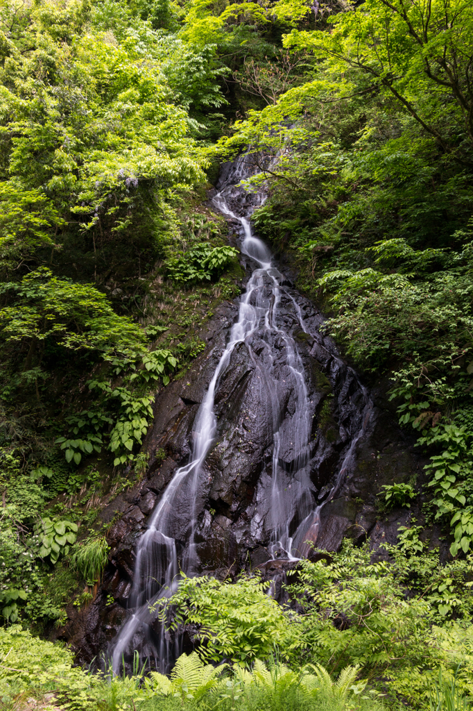 西俣大滝（西尾八景より）