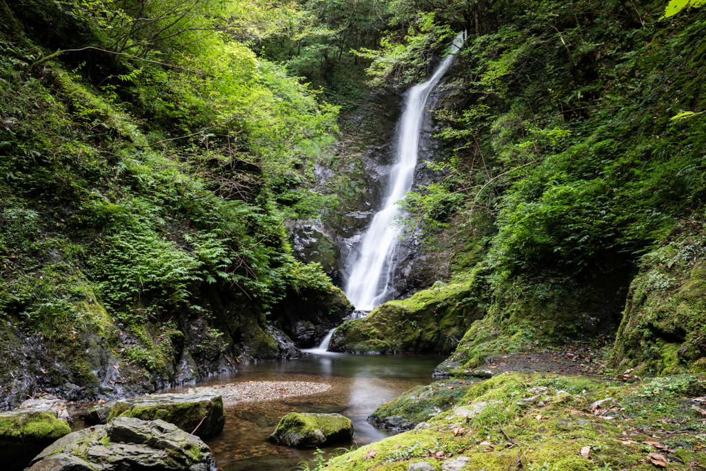 野鹿の滝