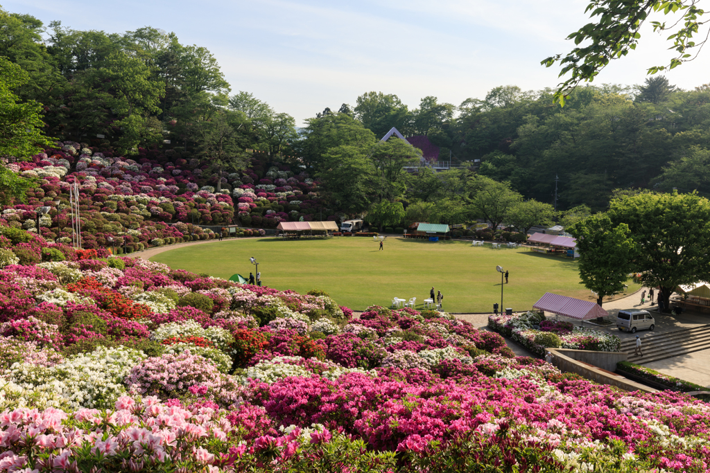 つつじの西山公園