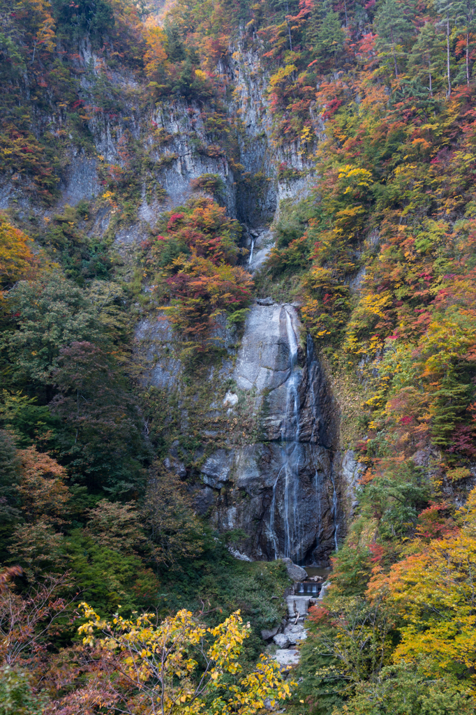 しりたか滝１（2015秋の白山白川郷ホワイトロードより）