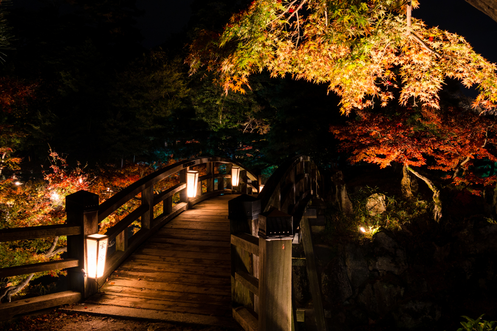 錦秋の高橋(玄宮園より）