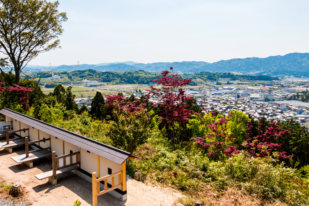 伝・西の丸（水口岡山城跡より）