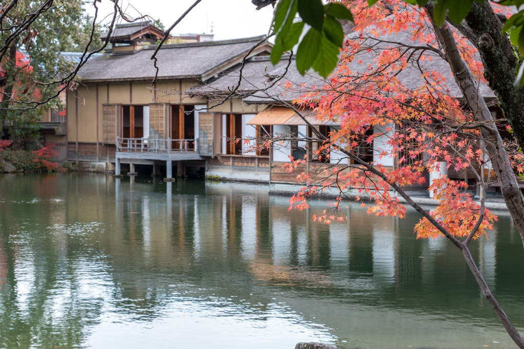 数奇屋造の書院その１（養浩館庭園より）