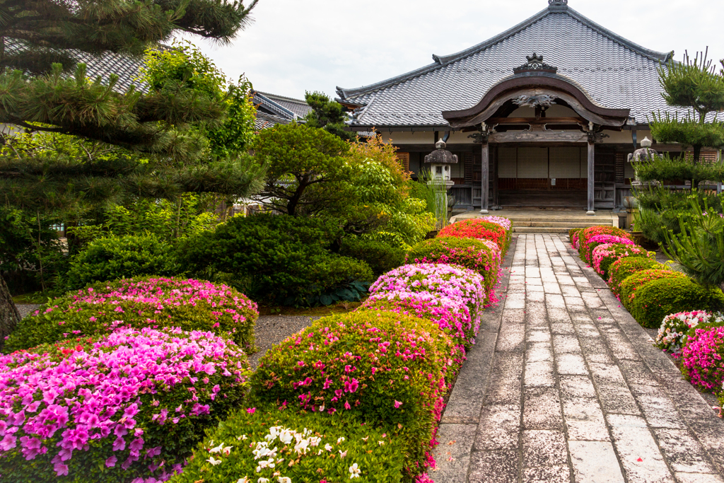 滋賀の大聖寺（日野町巡りより）