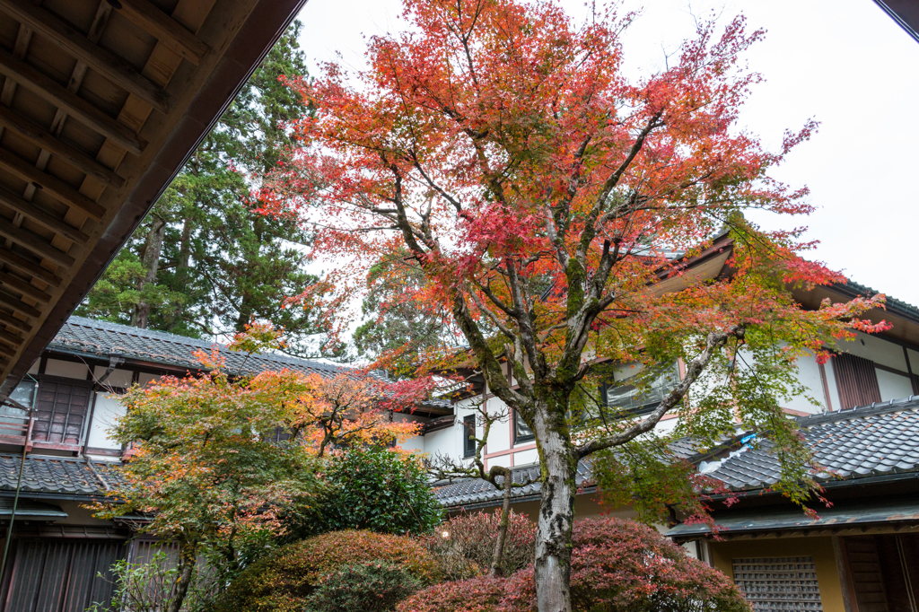 庫裡書院の中庭風景その３（那谷寺より）