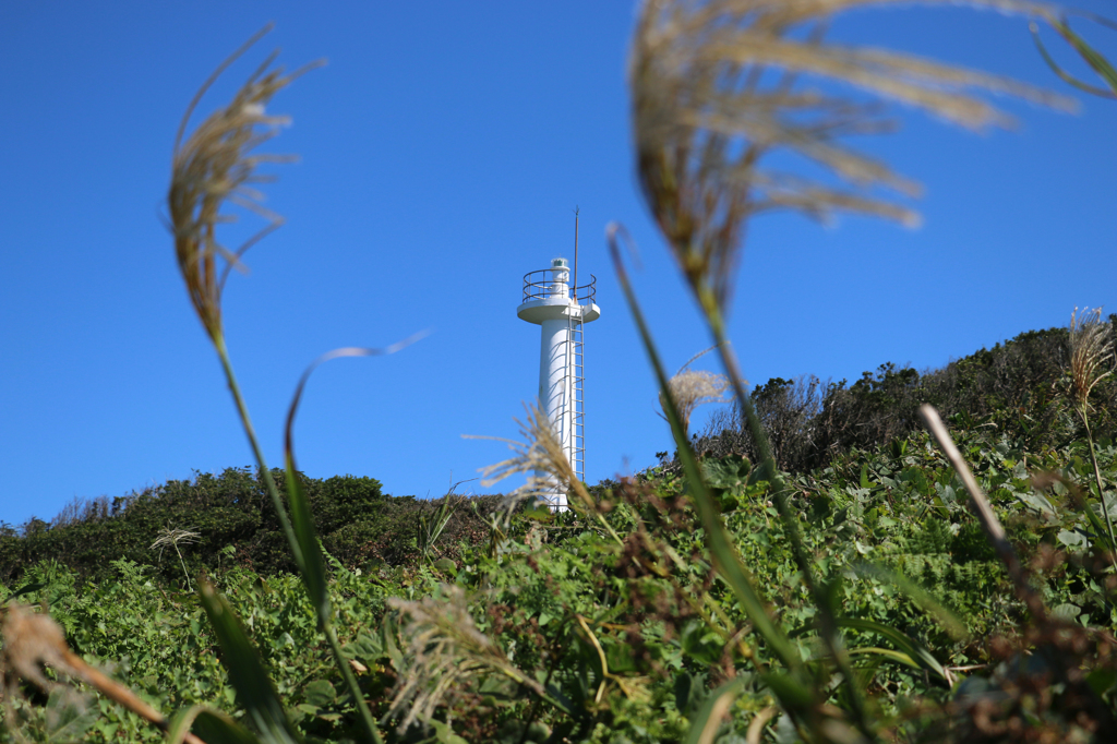 幽霊灯台で遊んでみた－前ボケの風に揺れるススキ（雄島・楽しい時計回り編）