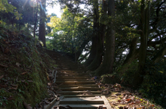 瀧浪神社に向かう石段（七ツ滝より）