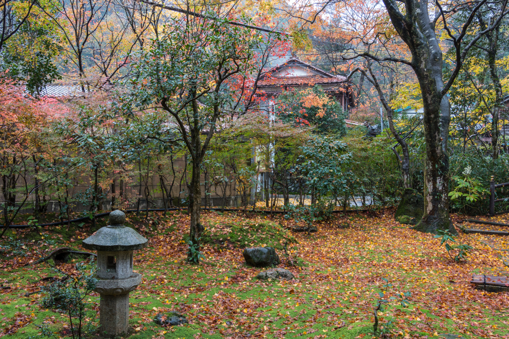 落ち葉の庭園（こおろぎ橋と無限庵）