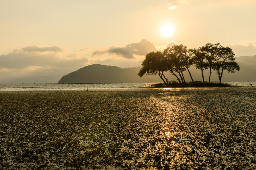 湖北町の夕景