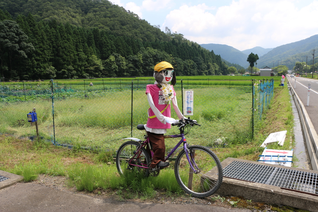 花はす公園前通りの面白案山子－サイクリングする案山子