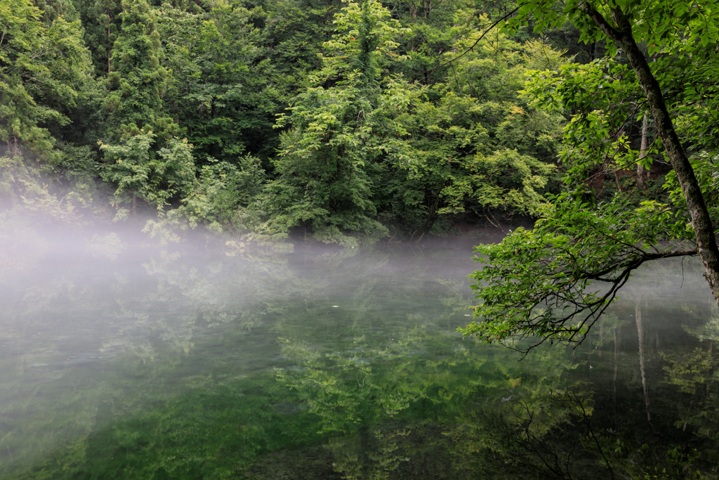 幻想の池
