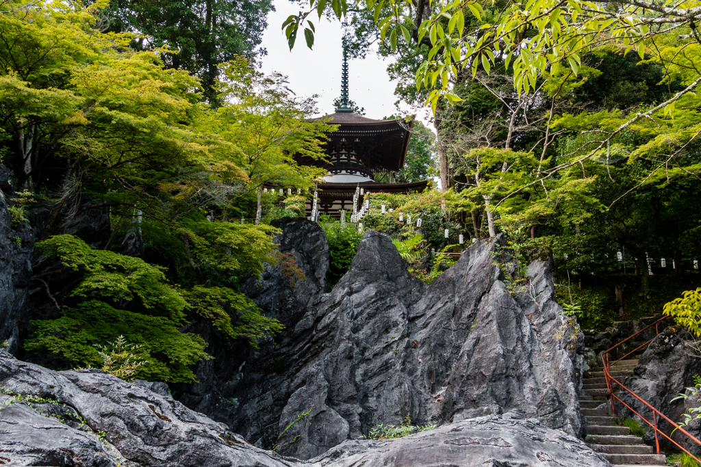 硅灰石と奥にそびえる多宝塔（石山寺より）