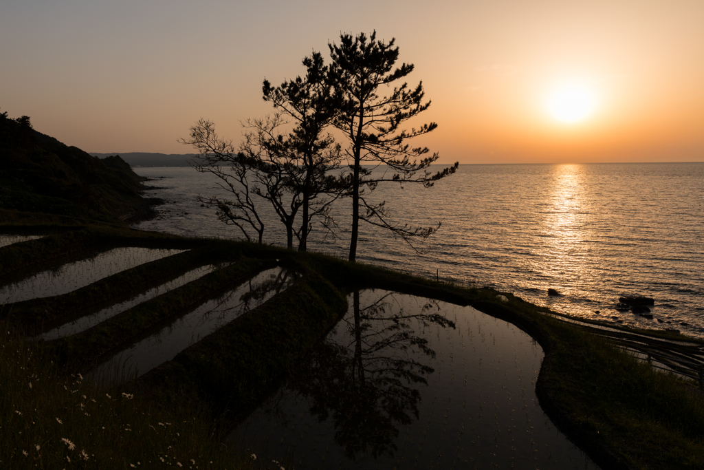 千枚田らしくない夕景