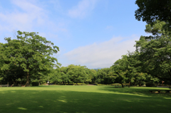 福井県総合グリーンセンター~芝生広場~