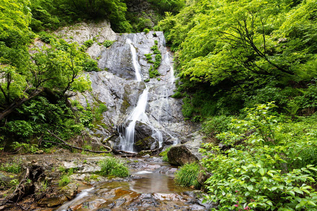 山中温泉の秘滝