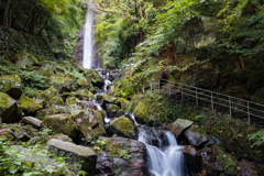 養老の滝１