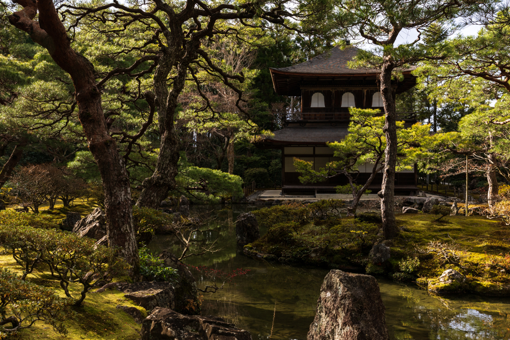 銀閣寺冬日和