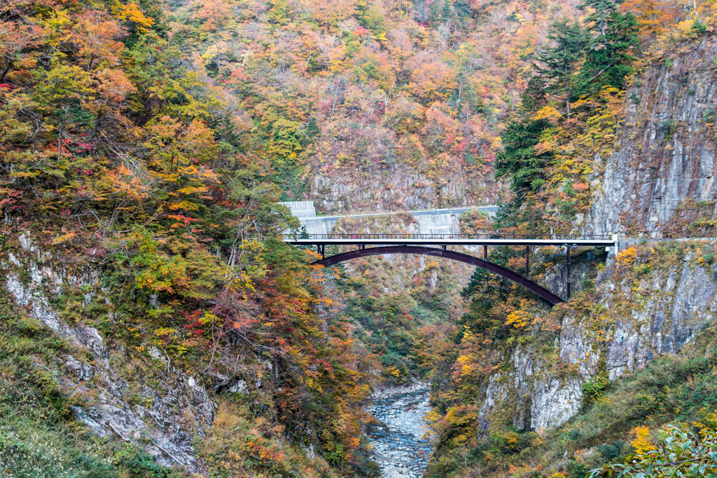 蛇谷大橋１（2015秋の白山白川郷ホワイトロードより）