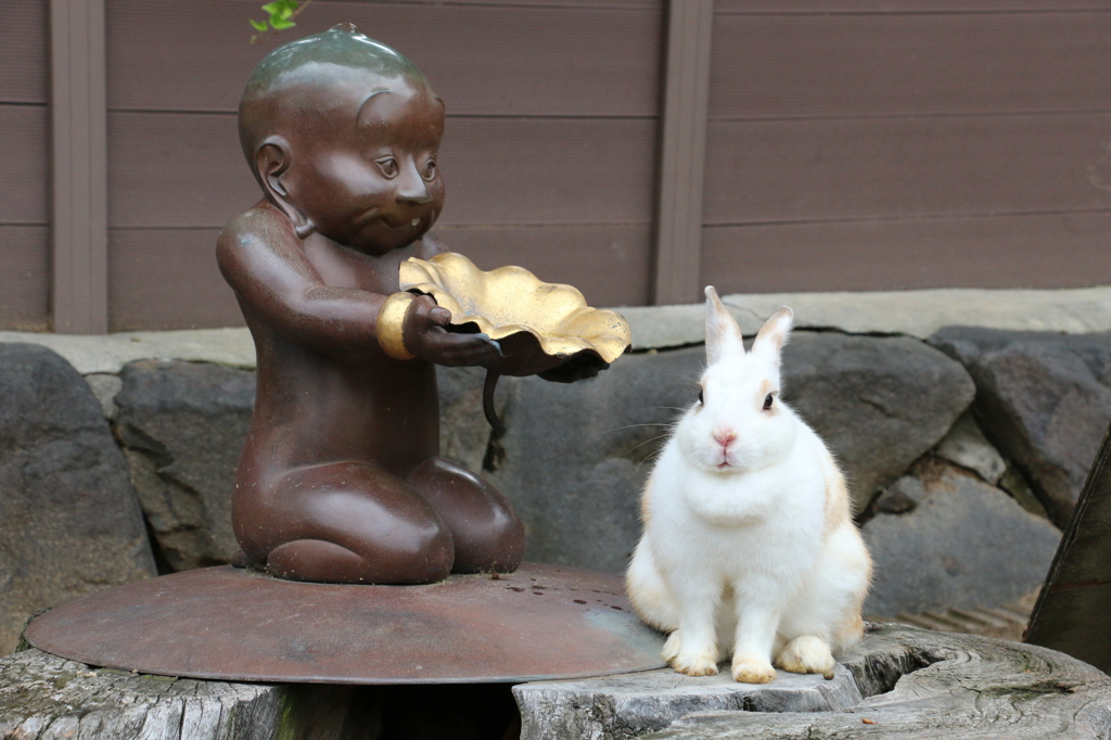 記念写真（月うさぎの里より）