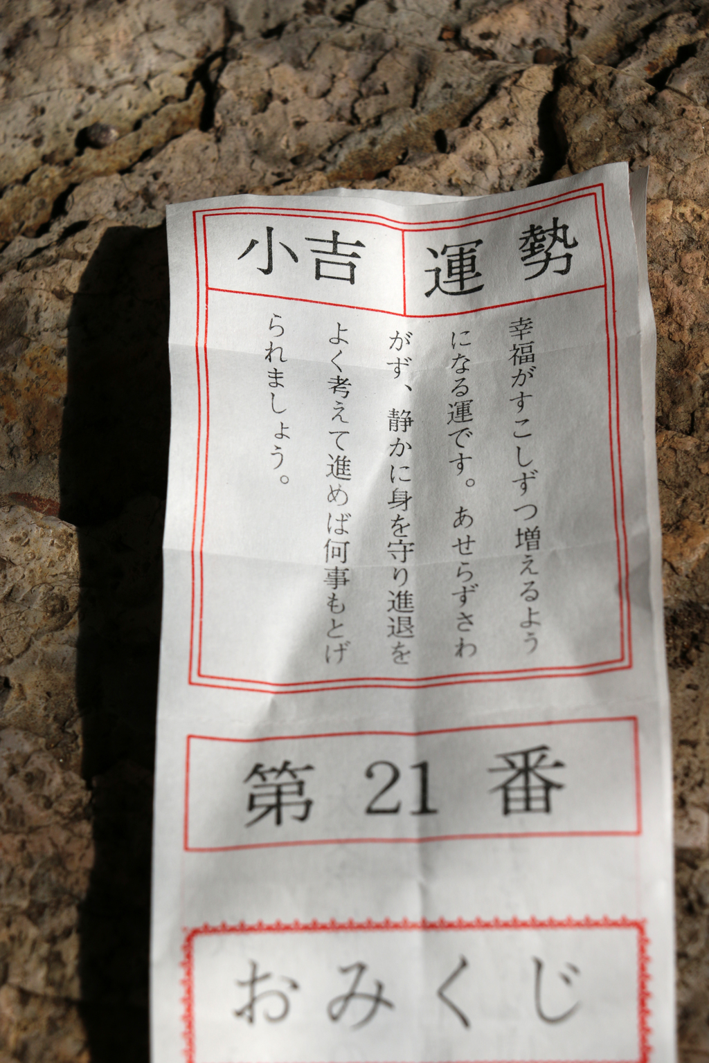 おみくじの結果は（雄島・楽しい時計回り編）