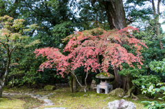 庫裡書院の中庭風景その１（那谷寺より）