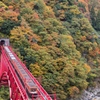 秋の峡谷トロッコ