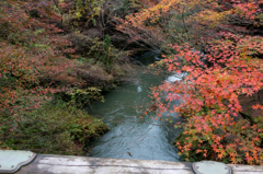 こおろぎ橋から（こおろぎ橋と無限庵）