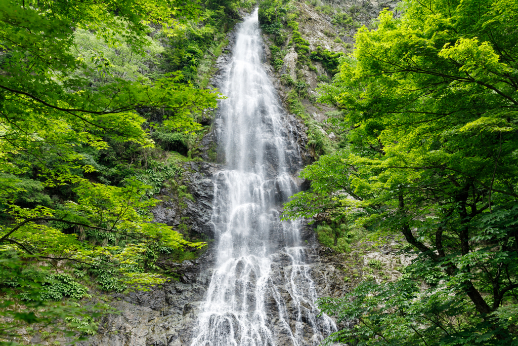 初夏の天滝２