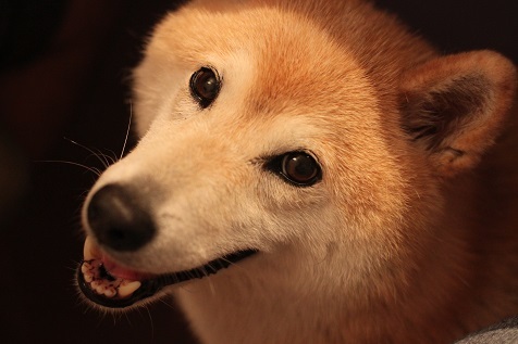 振り向いたその時。