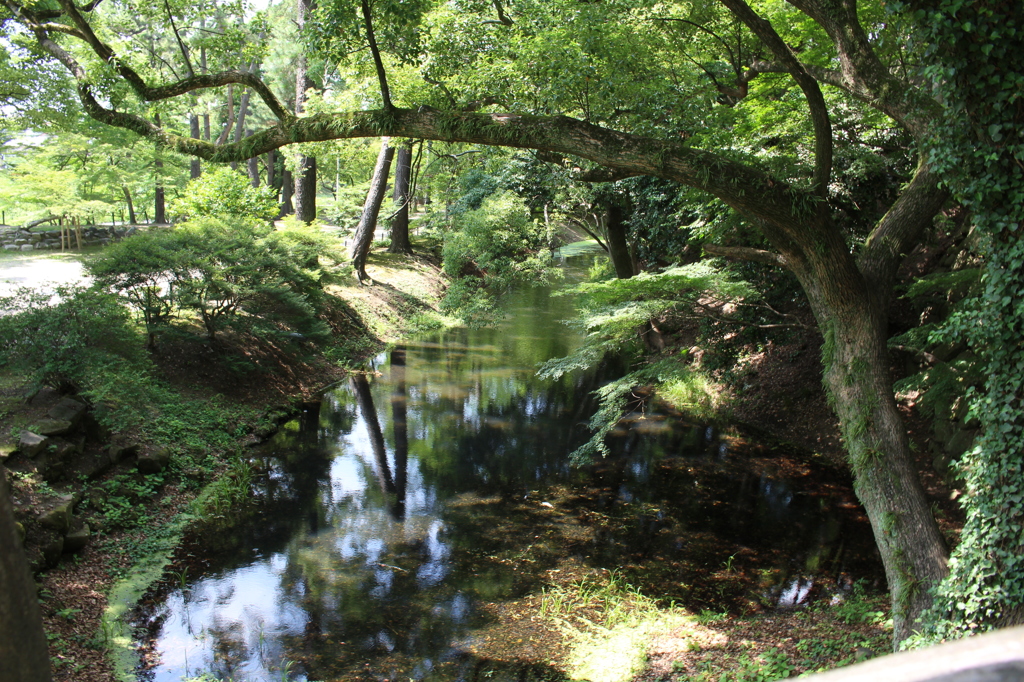 岡崎公園①