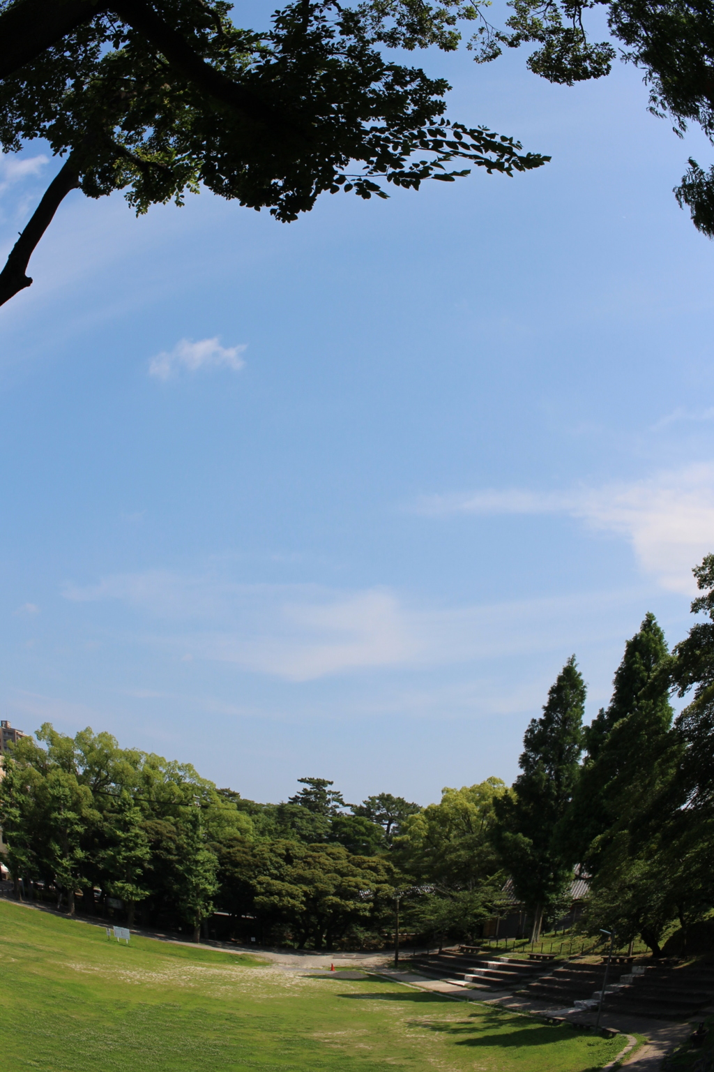岡崎公園④
