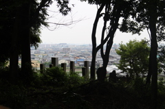 赤塚山公園　散歩道