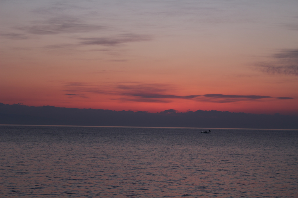 駿河湾、朝日